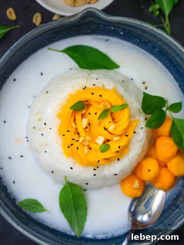 Mango sticky rice dessert.