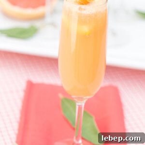 Top Brunch Cocktails to Impress Your Guests 19 brunch cocktail