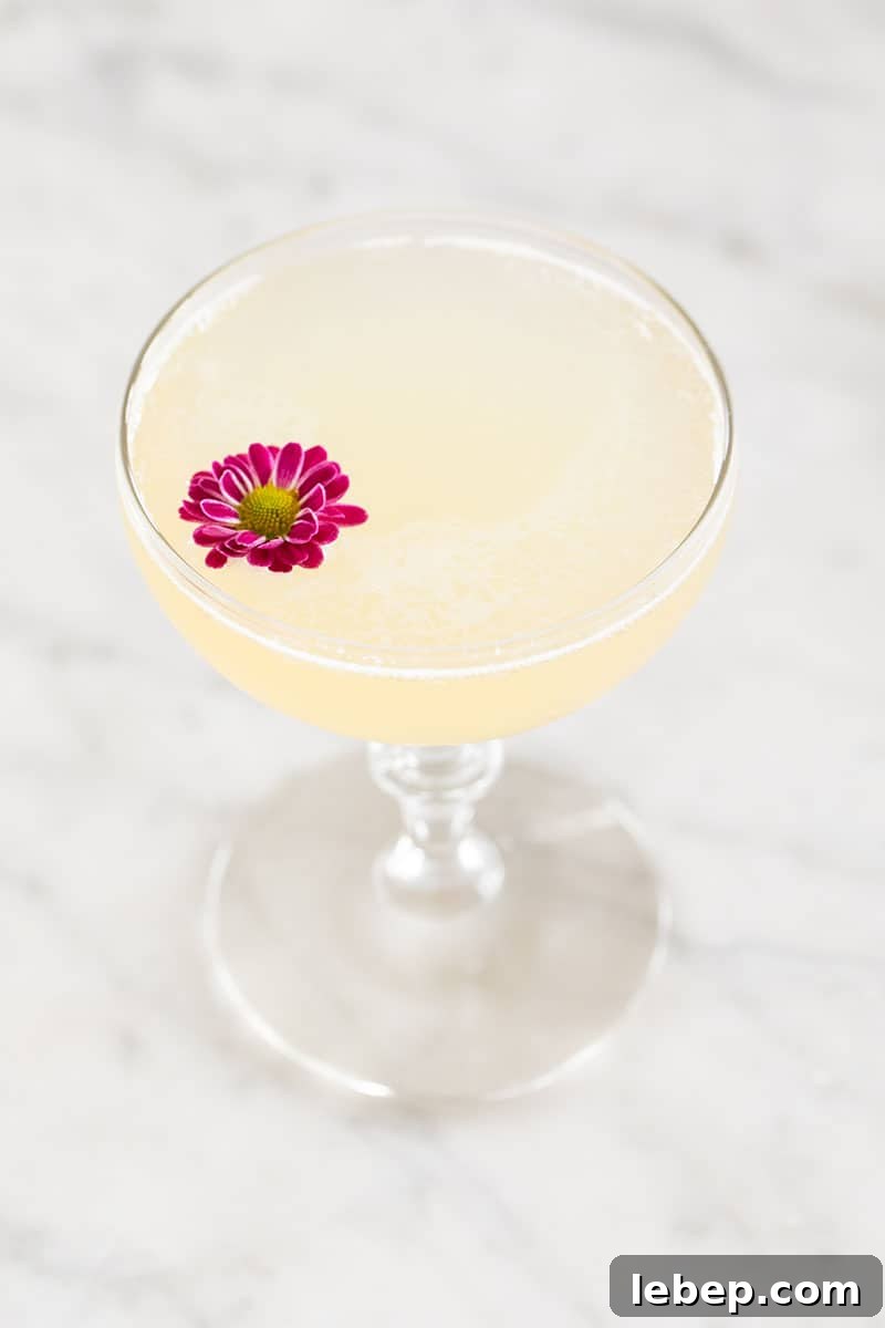 Top Brunch Cocktails to Impress Your Guests 4 Bee's Knees brunch cocktail