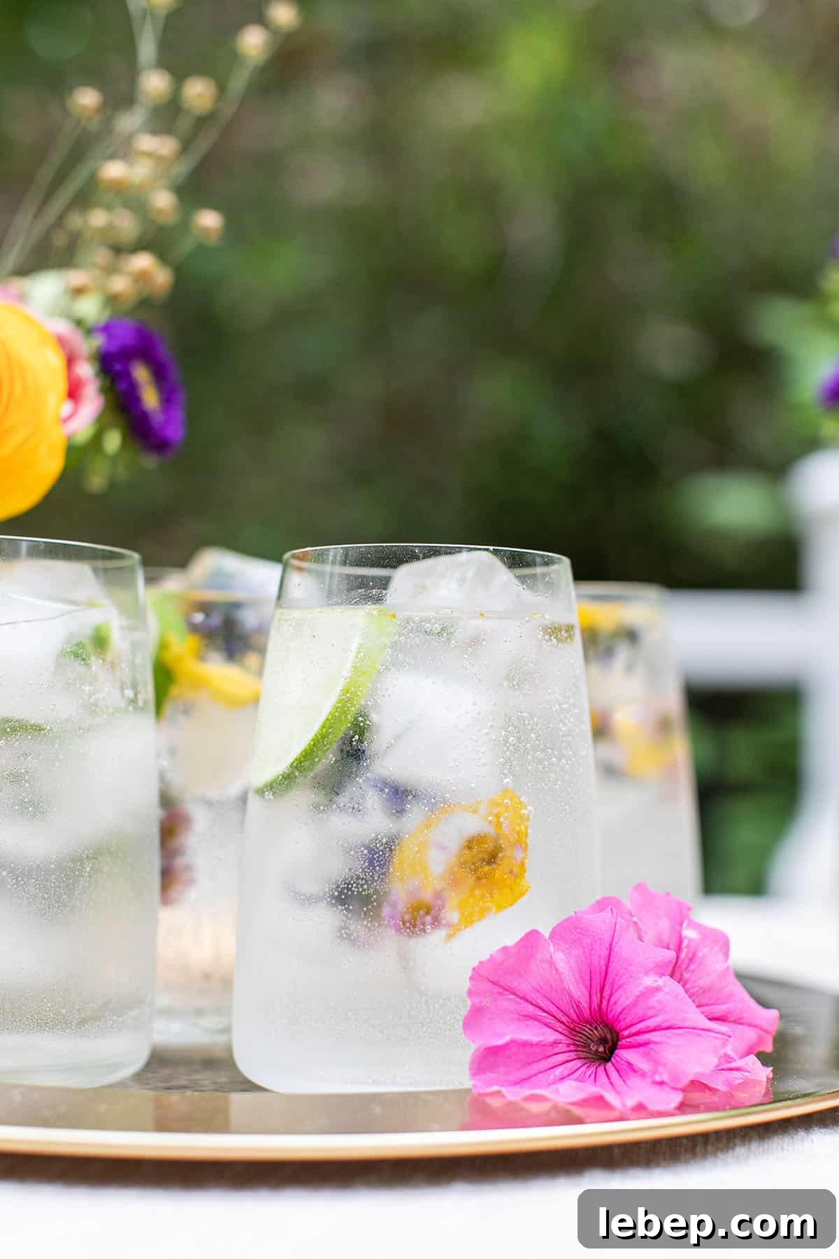 Top Brunch Cocktails to Impress Your Guests 6 vodka soda recipe