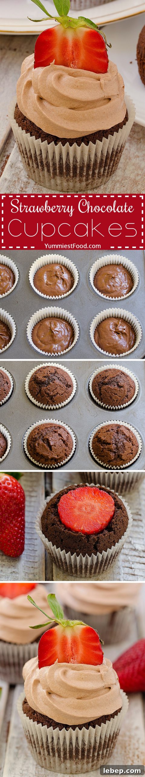 Strawberry Chocolate Cupcakes Recipe — Moist Chocolate & Fresh Strawberries 11 Strawberry Chocolate Cupcakes - Perfect combination with chocolate cream and strawberry on the top