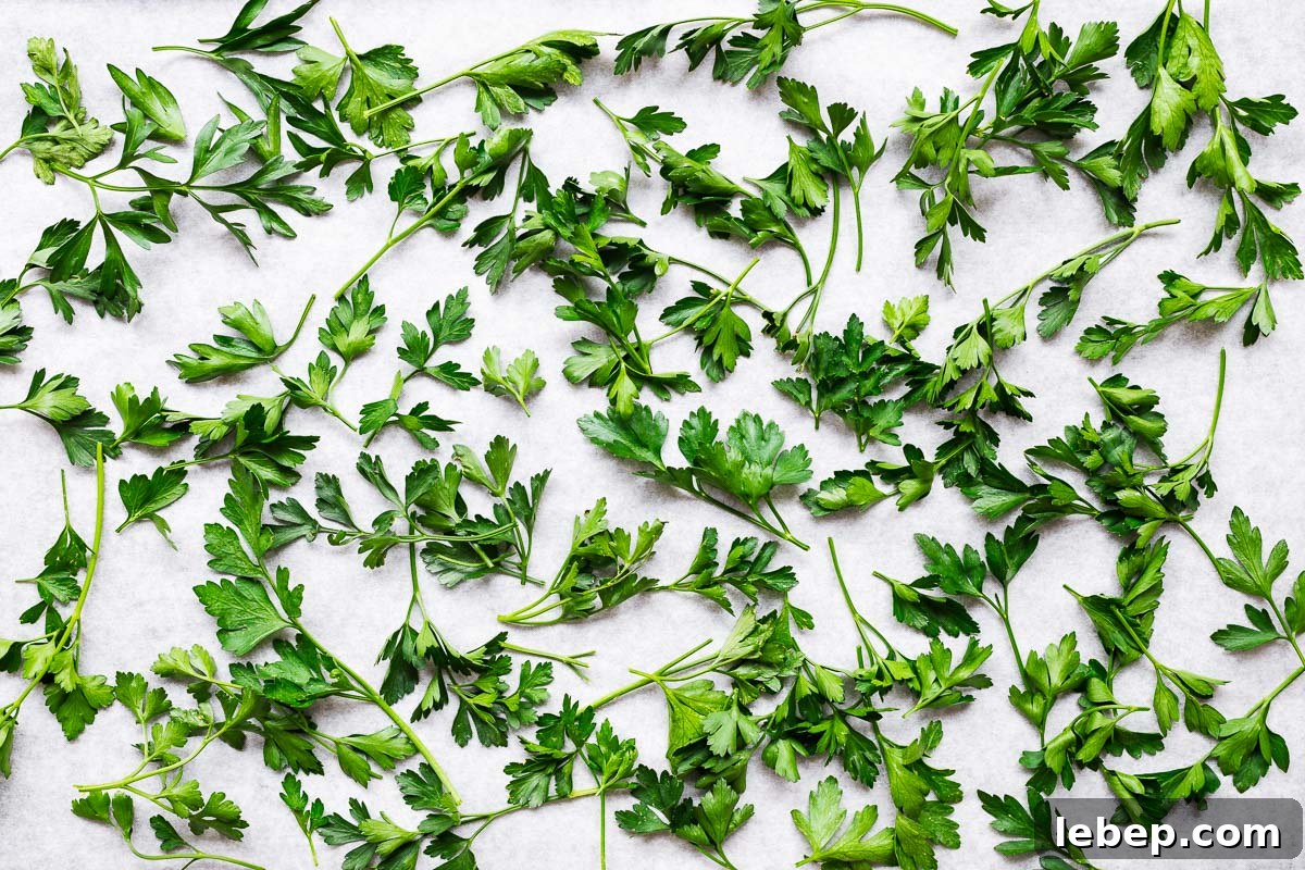 Drying Parsley in the Oven: Quick Guide for Flavorful Dried Herbs 6 Fresh parsley leaves and stems on parchment paper viewed from above.