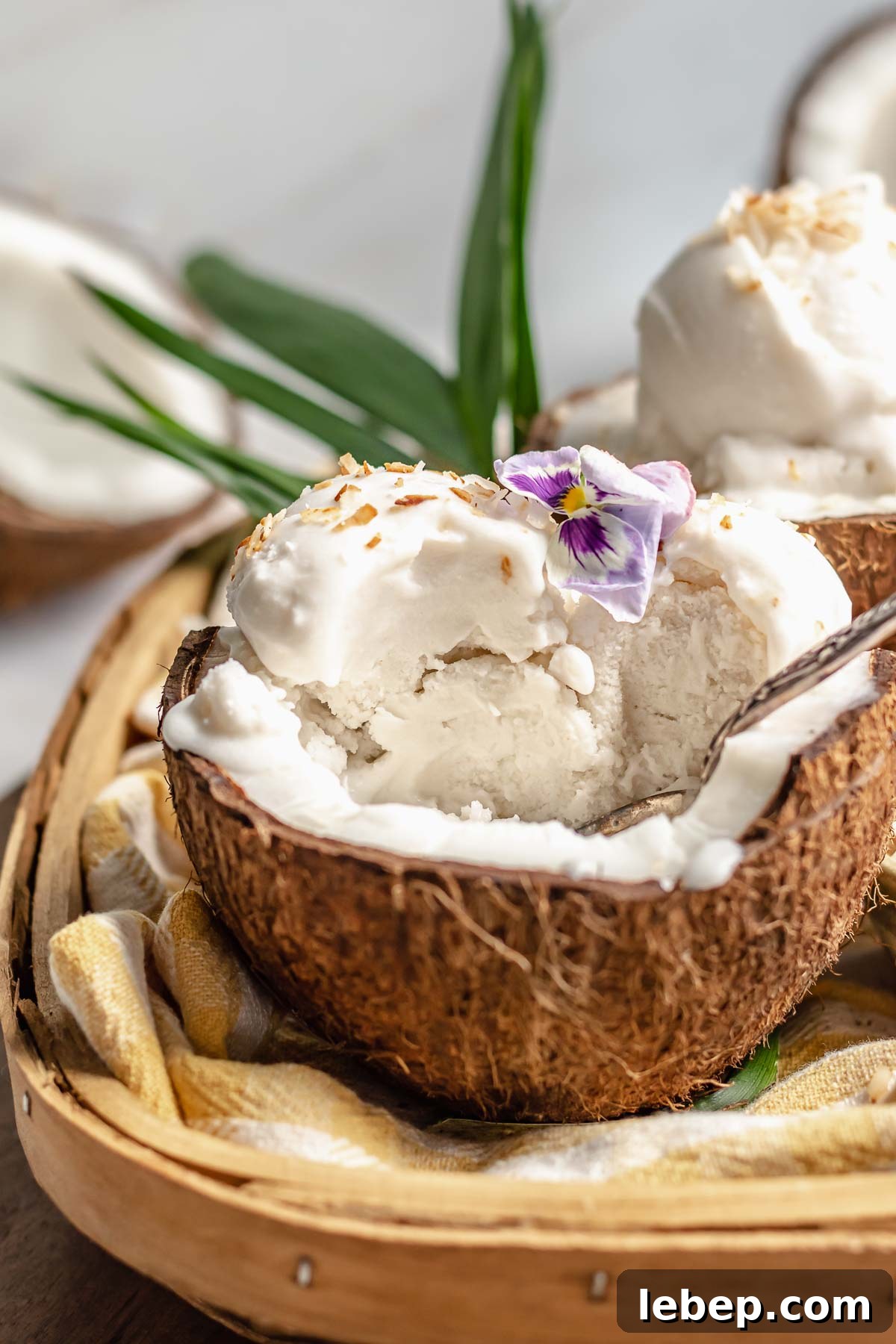 Creamy Coconut Sorbet Recipe: Refreshing Tropical Dessert 2 Scoops of coconut sorbet in a coconut shell with some bites removed.