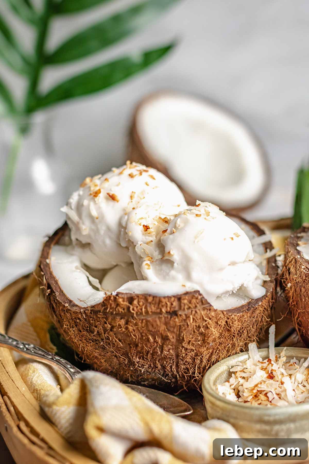 Creamy Coconut Sorbet Recipe: Refreshing Tropical Dessert 11 Scoops of coconut sorbet in a coconut shell.
