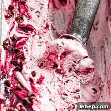 Ice cream scoop in a loaf pan of blackberry chip ice cream.