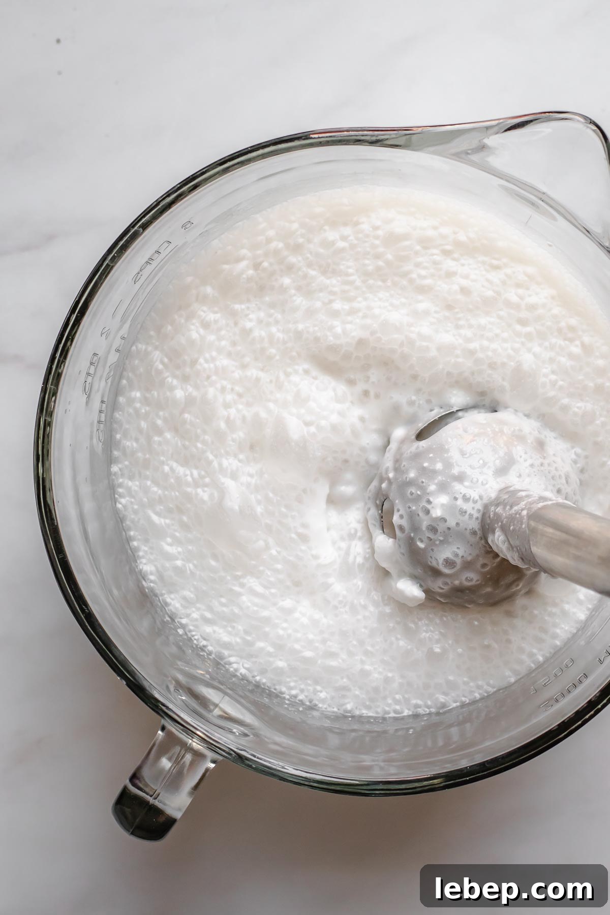 Creamy Coconut Sorbet Recipe: Refreshing Tropical Dessert 6 An immersion blender blends the coconut milks.