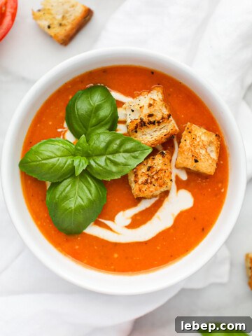 Vegan Creamy Tomato Soup