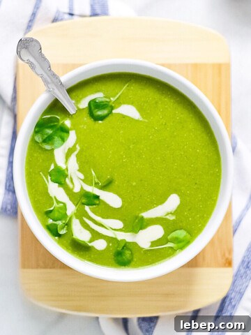 Spinach White Bean Soup