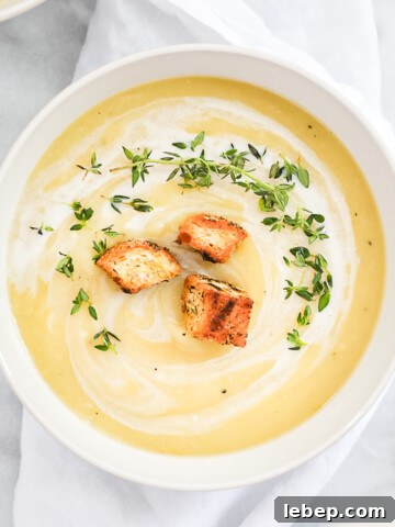 Vegan Potato Leek Soup