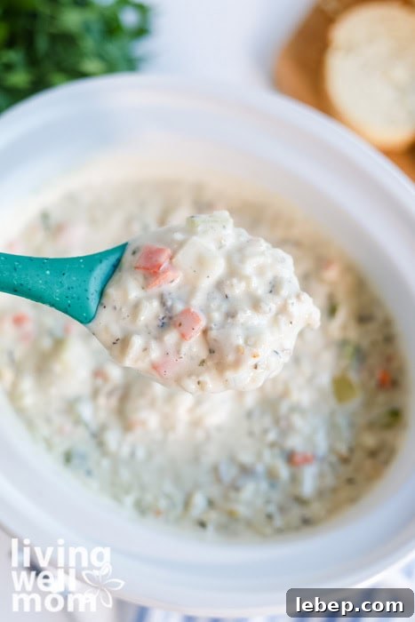 Creamy Slow Cooker Wild Rice and Chicken Soup Recipe 13 Close-up of creamy chicken wild rice soup on a spoon showing tender chicken and vegetables