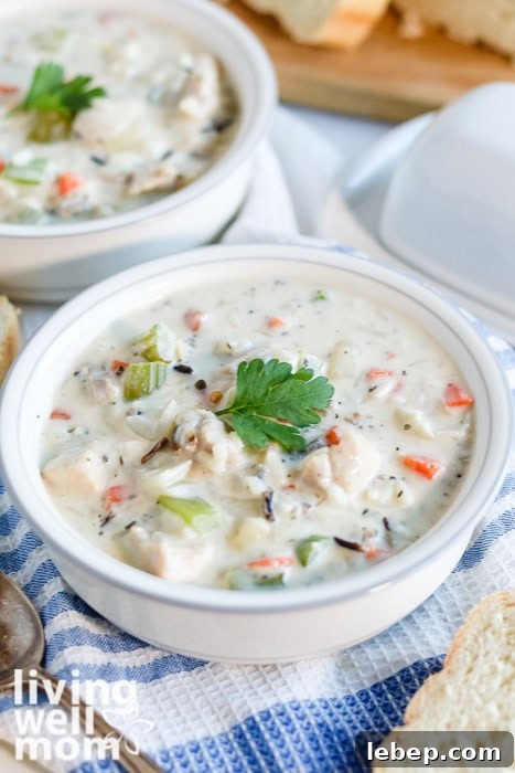 Creamy Slow Cooker Wild Rice and Chicken Soup Recipe 15 Overhead view of slow cooker creamy wild rice and chicken soup in a white bowl