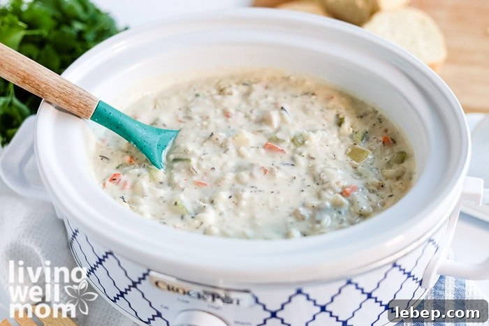 Creamy Slow Cooker Wild Rice and Chicken Soup Recipe 3 Overhead shot of homemade creamy chicken and wild rice soup in a crockpot