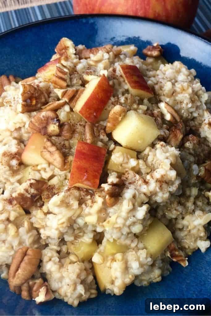 slow cooker apple cinnamon oatmeal