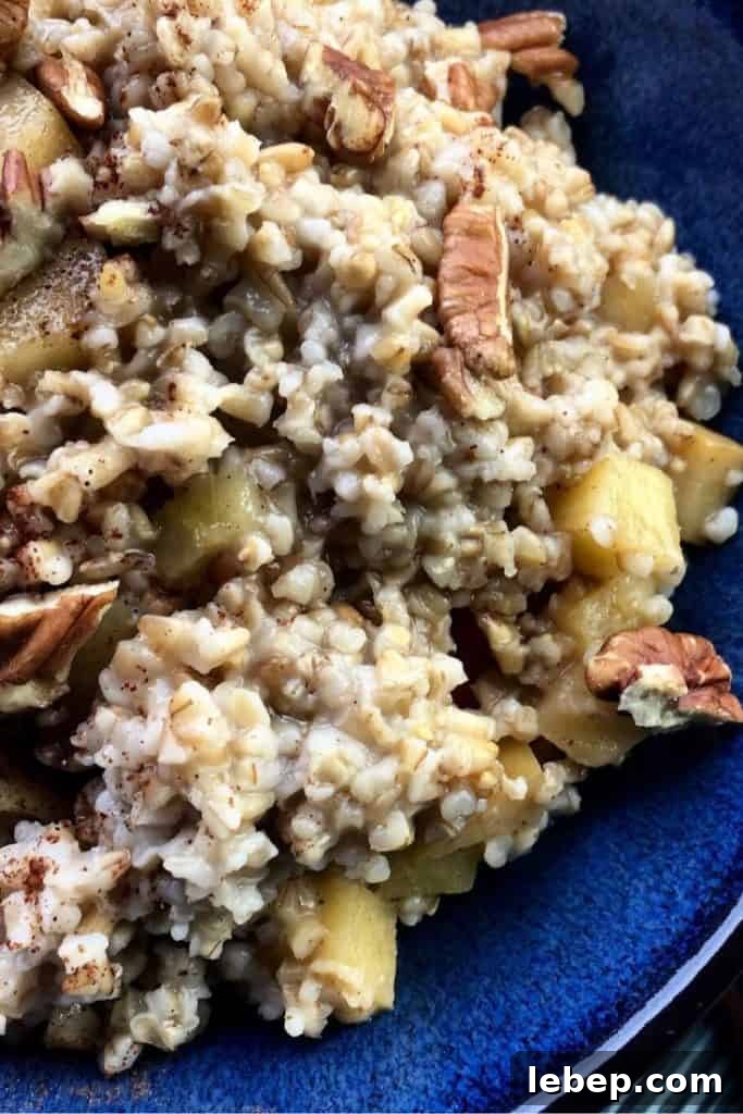 apple pie steel cut oats