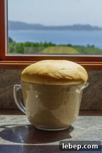 pumpkin cinnamon roll dough