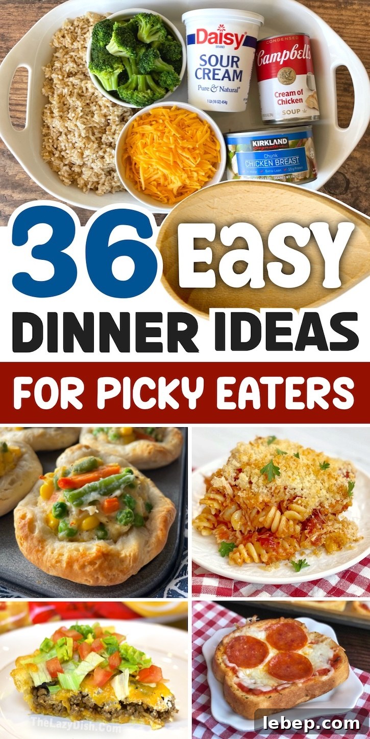 36 Family Dinner Ideas Kids and Picky Eaters Will Love 2 A list of easy dinner ideas for picky eaters of all ages! Toddlers, kids, teens and adults. Your entire family will love these fast and simple dinner recipes for tonight made with just a few ingredients. They are all perfect for busy moms and dads on a budget with finicky kids to feed.