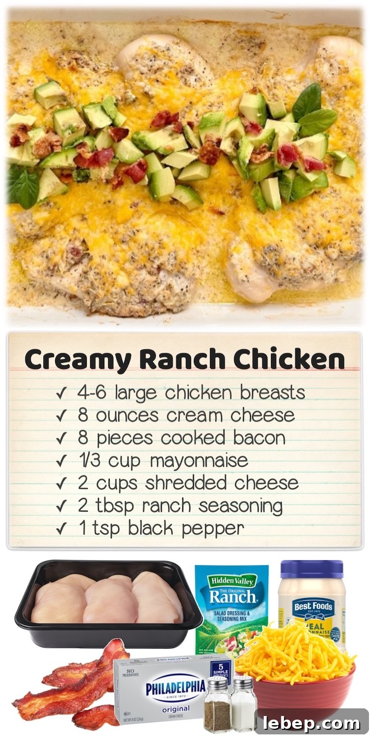 36 Family Dinner Ideas Kids and Picky Eaters Will Love 12 Creamy Ranch Baked Chicken | If you have picky eaters to feed, this easy chicken dinner recipe is simple to bake in the oven with a mixture of cream cheese, mayo, ranch seasoning mix, shredded cheese, and bacon... all in just one pan! Serve with your kids favorite side dish such as pasta or rice for a filling and delicious meal.