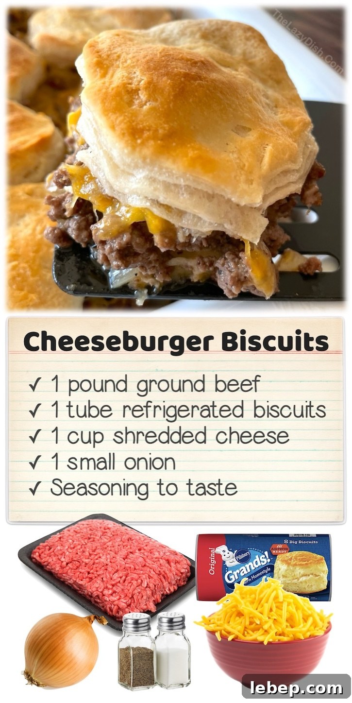36 Family Dinner Ideas Kids and Picky Eaters Will Love 14 Cheeseburger Biscuit Casserole | This easy comfort food is a fun way to make burgers in the oven! Simply layer seasoned ground beef with lots of gooey cheese and refrigerated biscuits in a casserole dish. This is the best quick dinner for picky toddlers and teens!