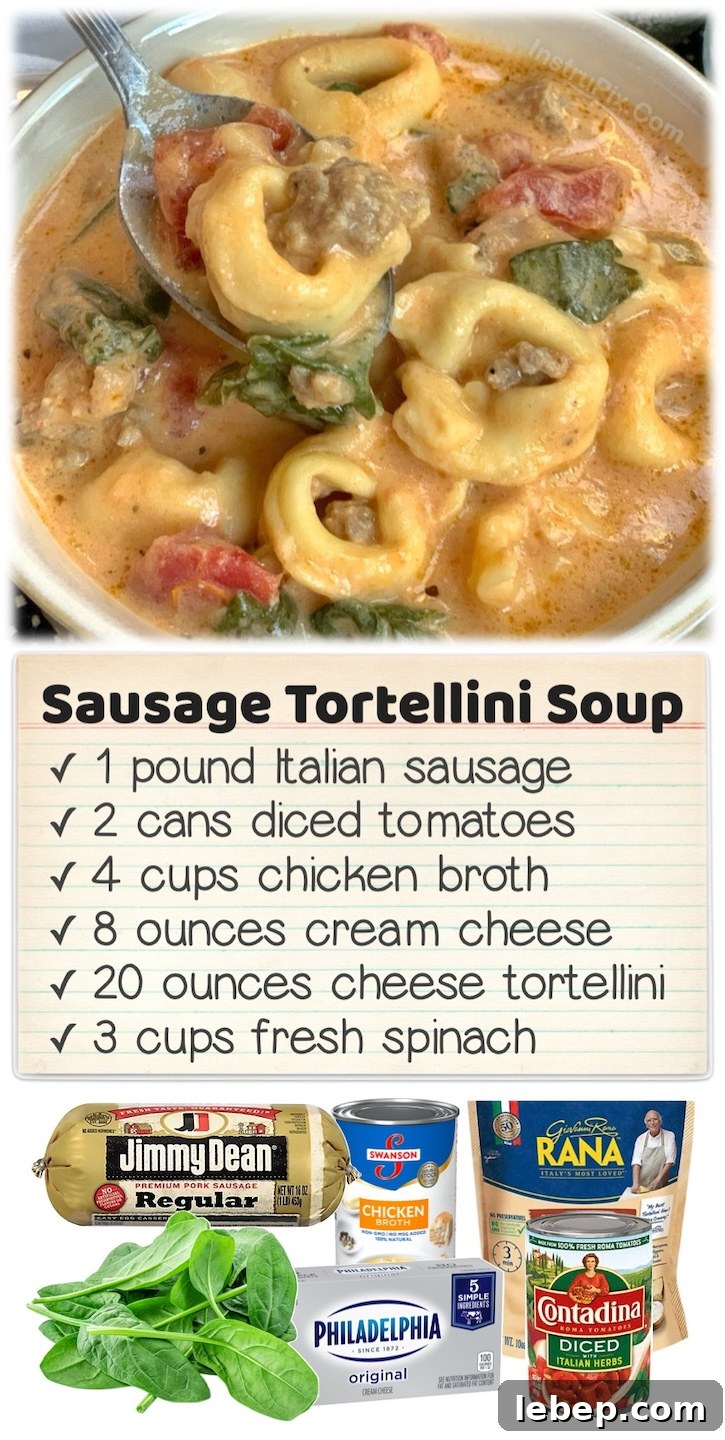 36 Family Dinner Ideas Kids and Picky Eaters Will Love 31 Crockpot Sausage Tortellini Soup | This yummy dinner recipe is one of my best reviewed meals! A simple slow cooker recipe made with pasta, Italian sausage, chicken broth, cream cheese, diced tomatoes and fresh spinach. A great comfort food for those cold winter nights! My picky family always goes back for seconds.