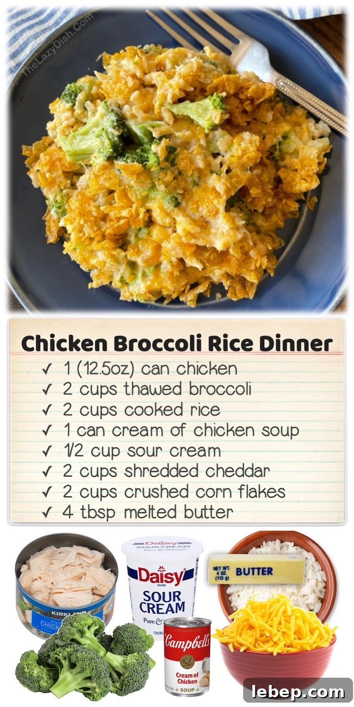 36 Family Dinner Ideas Kids and Picky Eaters Will Love 10 Cheesy Chicken Broccoli & Rice Dinner | This last minute dinner is made with just a few pantry staples and can be thrown together quickly on busy school nights for your picky eaters! The base ingredients are canned chicken, Instant Rice, frozen veggies and cheddar cheese, make it a cheap and easy meal for a family on a budget.