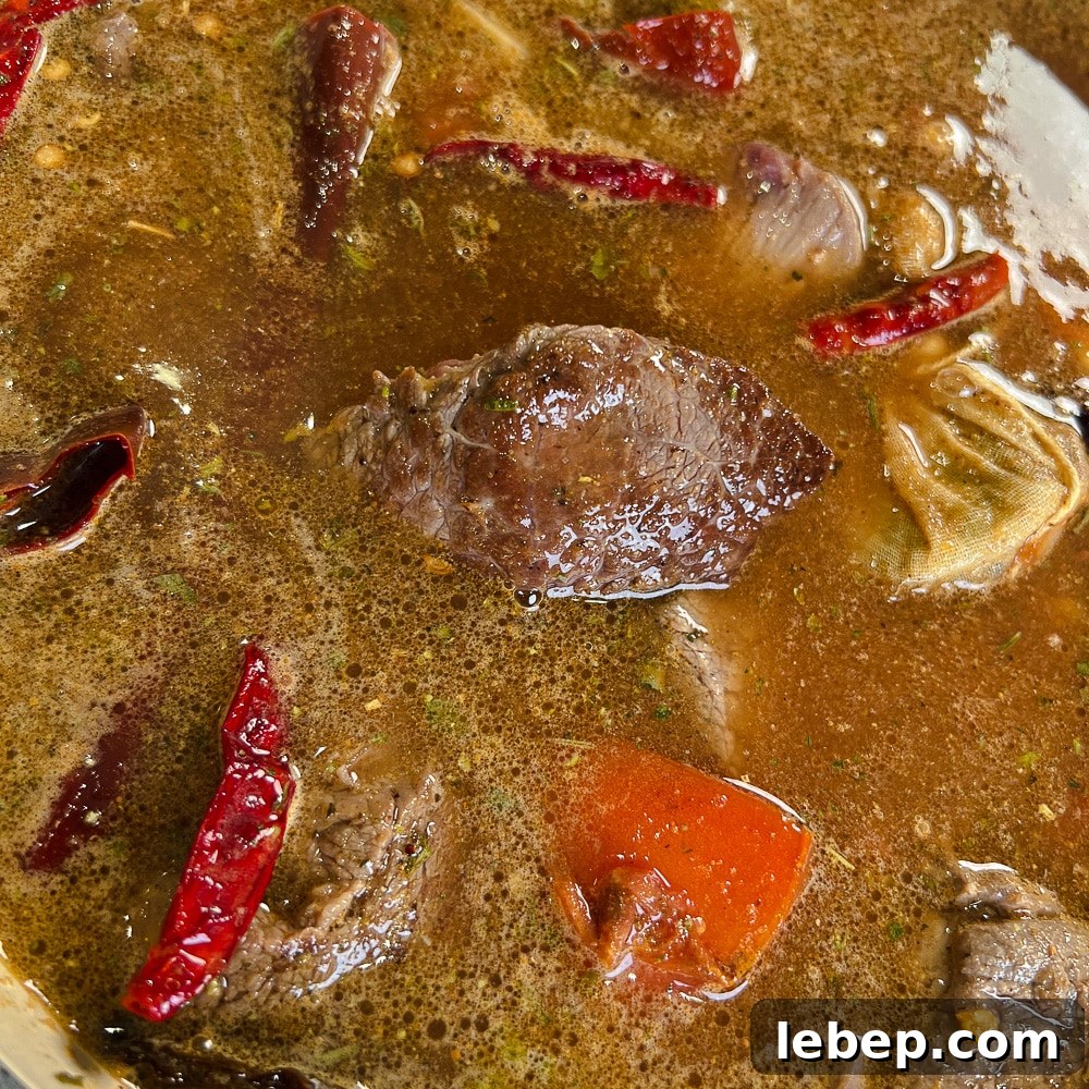 Birria Ramen Recipe: Rich Mexican Beef Ramen Bowl 3 Birria Ramen close-up