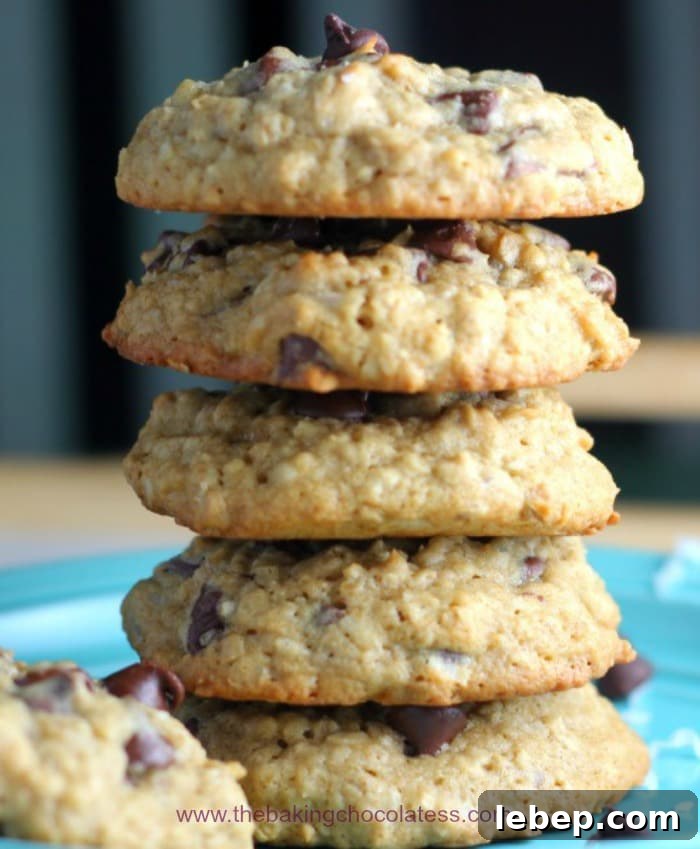 Coconut Chocolate Chip Oatmeal Cookies Recipe 2 Best Coconut Chocolate Chip Oatmeal Cookies