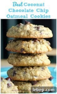 Best Coconut Chocolate Chip Oatmeal Cooki