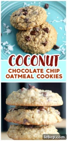 Best Coconut Chocolate Chip Oatmeal Cookies