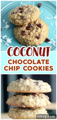 Best Coconut Chocolate Chip Oatmeal Cookies