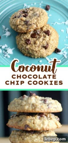 Best Coconut Chocolate Chip Oatmeal Cookies