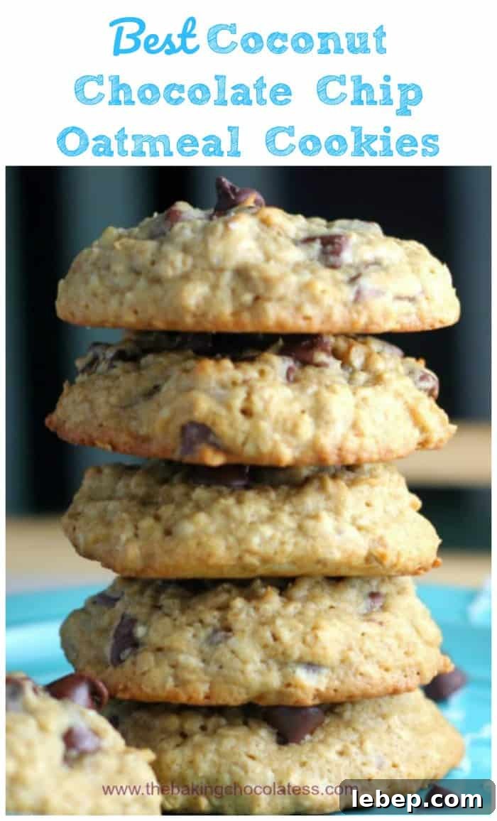 Coconut Chocolate Chip Oatmeal Cookies Recipe 4 Best Coconut Chocolate Chip Oatmeal Cookies