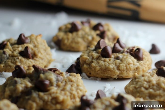 Coconut Chocolate Chip Oatmeal Cookies Recipe 5 Best Coconut Chocolate Chip Oatmeal Cookies