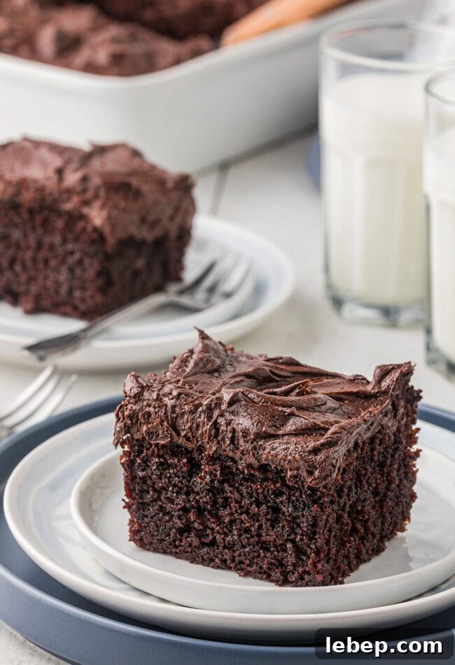 Ultra-Rich One-Bowl Chocolate Cake Recipe You’ll Love 2 a serving of one-bowl chocolate cake with chocolate frosting