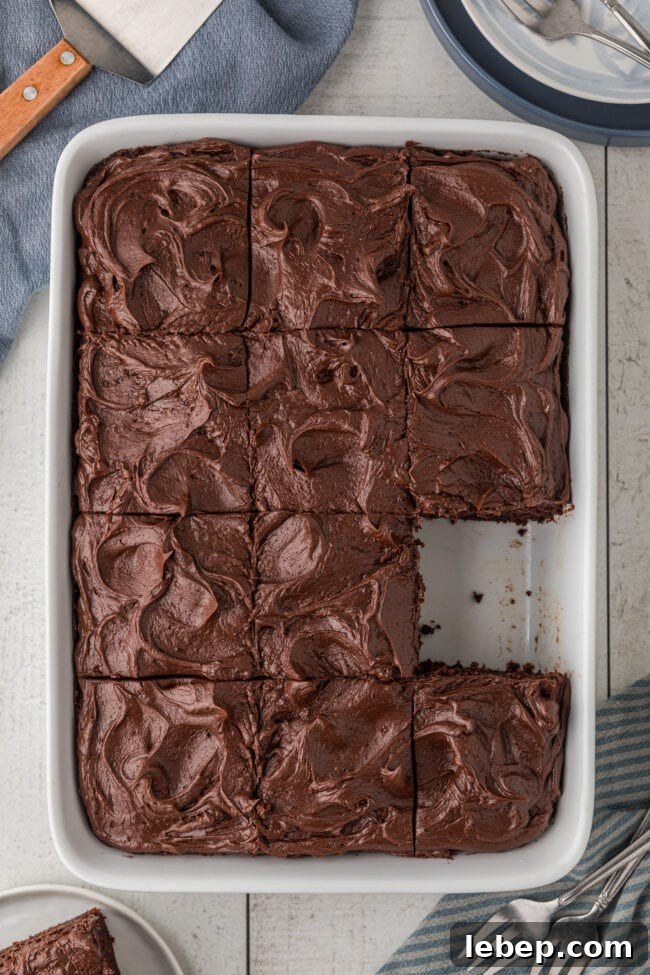 Ultra-Rich One-Bowl Chocolate Cake Recipe You’ll Love 11 Easy one-bowl chocolate cake in a white pan