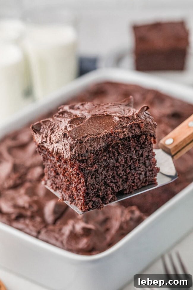 Ultra-Rich One-Bowl Chocolate Cake Recipe You’ll Love 12 chocolate cake in a pan with a piece on a spatula