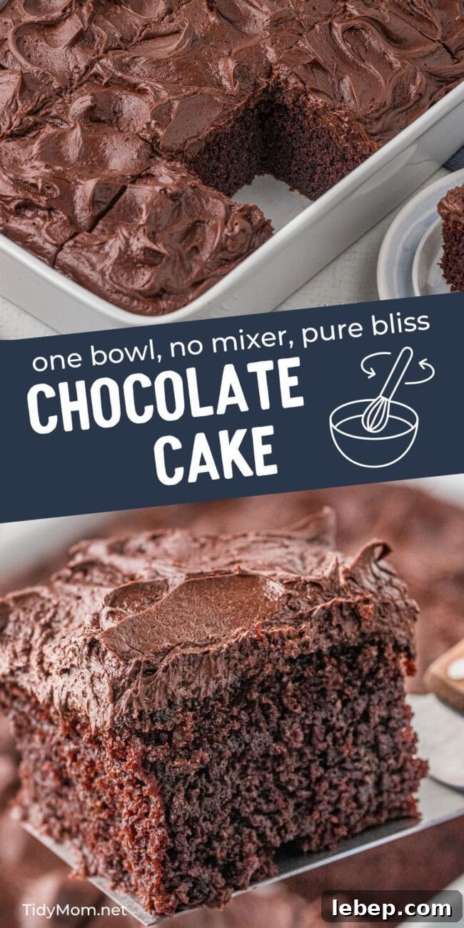 Ultra-Rich One-Bowl Chocolate Cake Recipe You’ll Love 13 easy chocolate cake with chocolate frosting sliced to serve