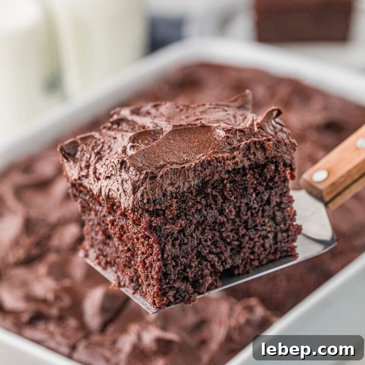 chocolate cake in a pan with a piece on a spatula