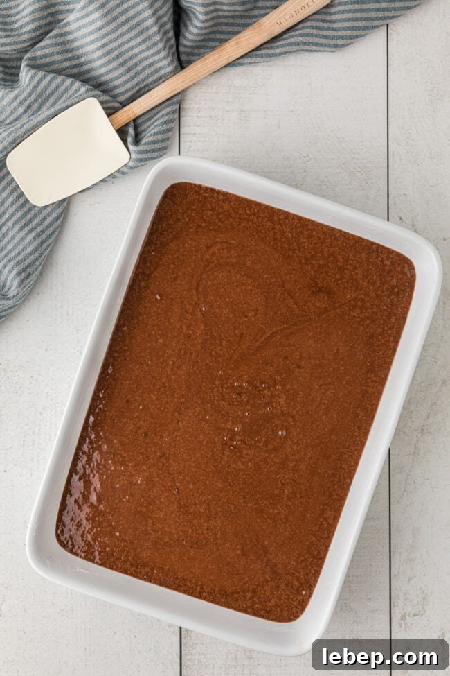 Ultra-Rich One-Bowl Chocolate Cake Recipe You’ll Love 7 cake batter in a white pan