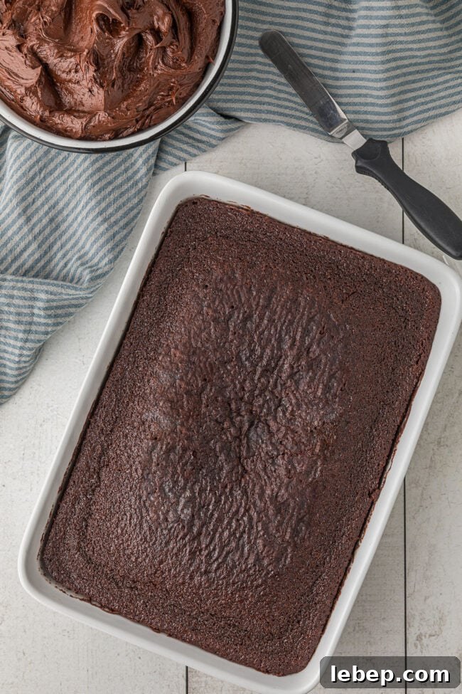 Ultra-Rich One-Bowl Chocolate Cake Recipe You’ll Love 8 baked one-bowl chocolate cake