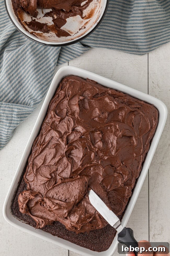 Ultra-Rich One-Bowl Chocolate Cake Recipe You’ll Love 9 chocolate cake with chocolate frosting