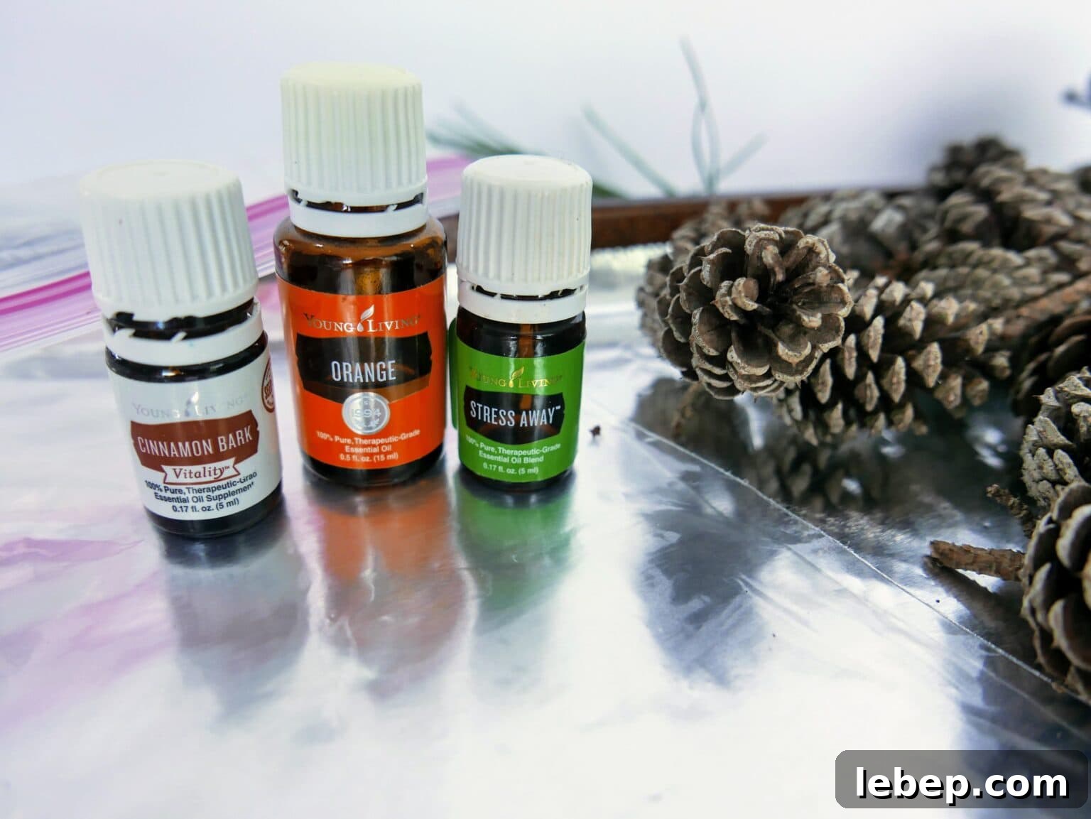 Essential Oils next to pine cones 