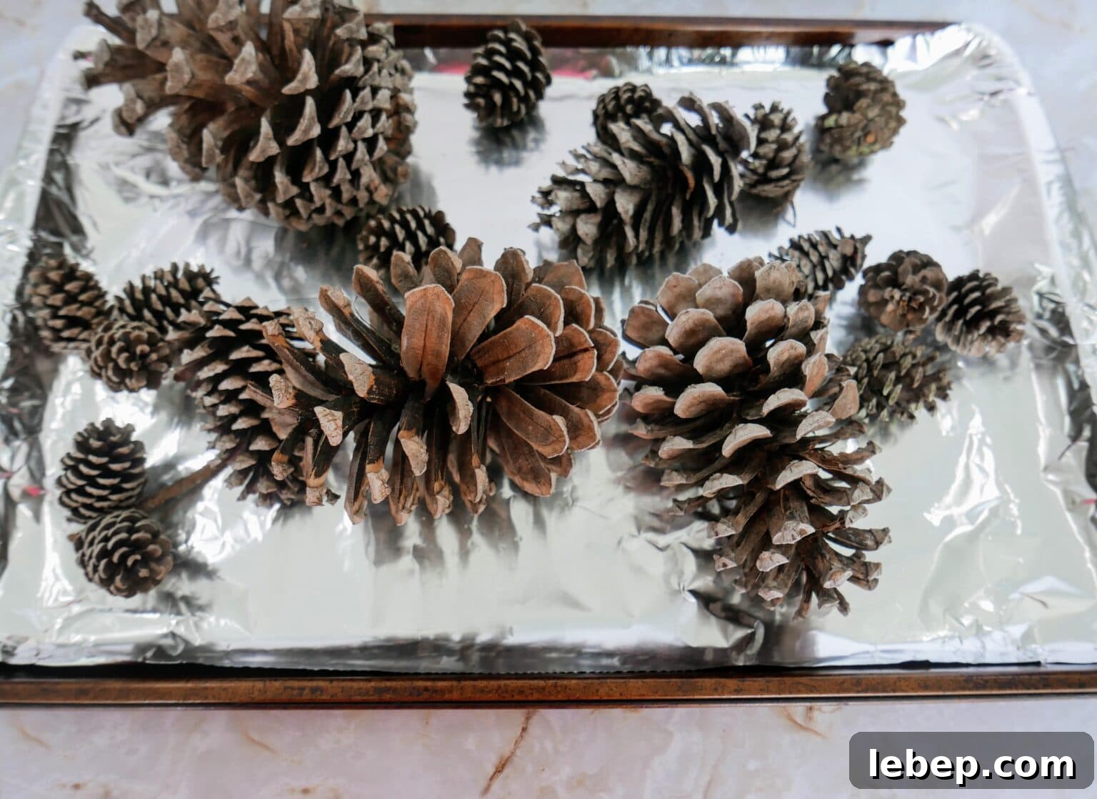 Cinnamon Scented Pinecones 