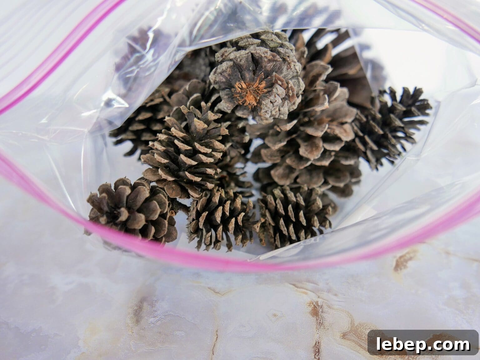 Pinecones in a bag