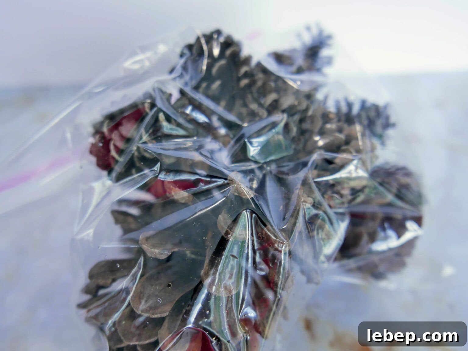 Pinecones ion the bag with the oils 