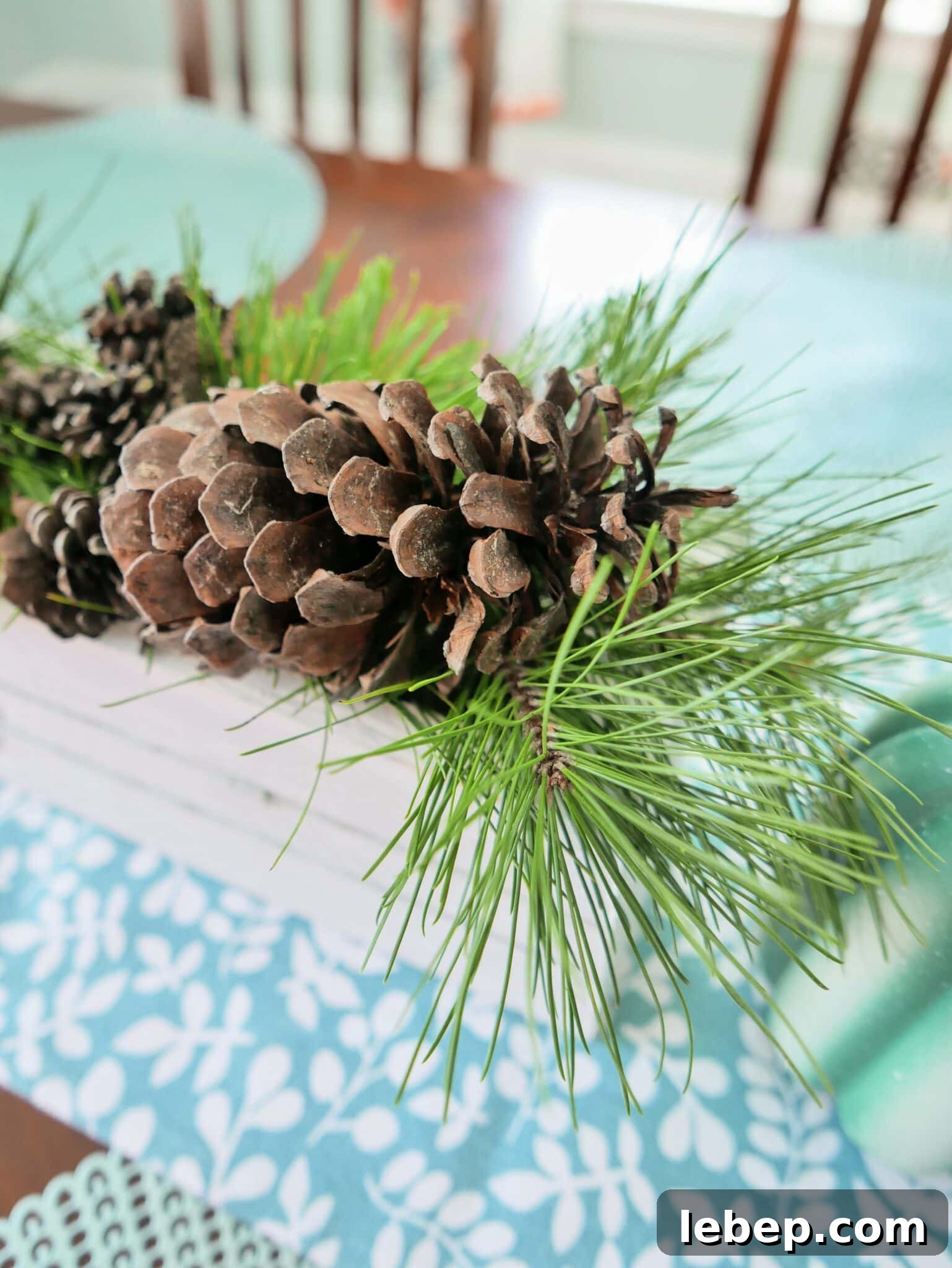 Cinnamon Scented Pinecones 