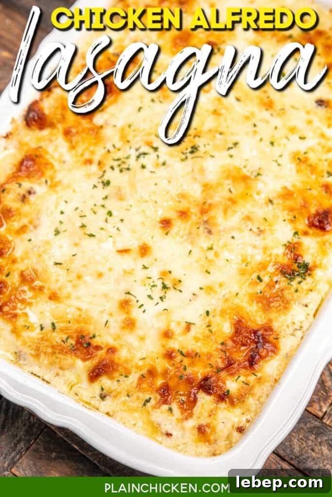 baking dish of chicken alfredo lasagna on a table