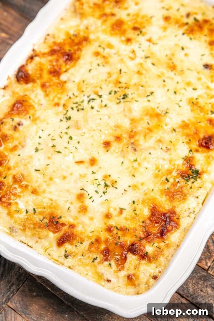 baking dish of chicken alfredo lasagna on a table