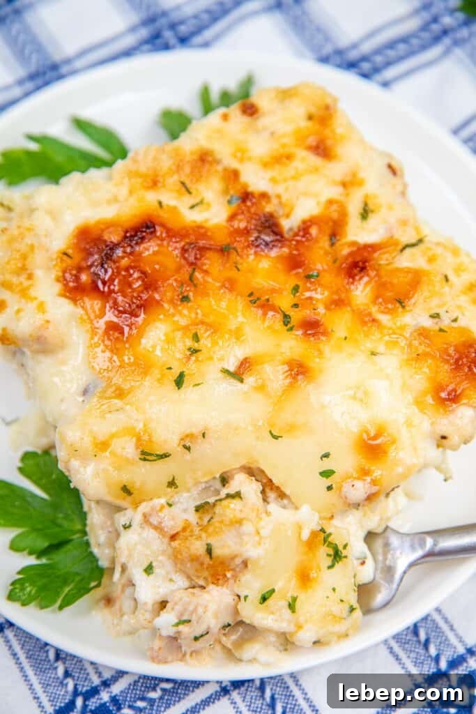 cutting into a slice of chicken alfredo lasagna on a plate