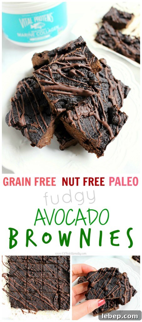 Fudgy Avocado Brownies (Grain-Free Paleo Recipe) 9 Grain Free Fudgy Avocado Brownies {Vegan + Paleo} square