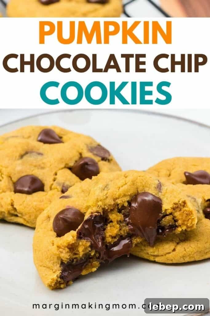 Soft Chewy Pumpkin Chocolate Chip Cookies Recipe 2 white plate of pumpkin chocolate chip cookies
